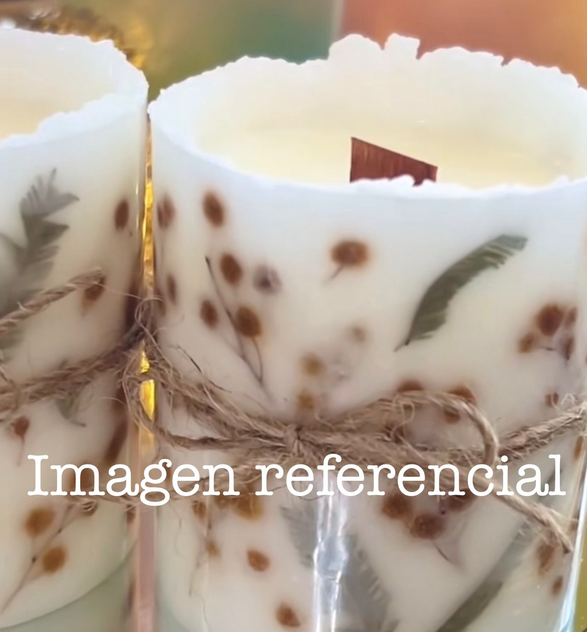 EXPERIENCIA CREA TU FANAL Y VELA BOTÁNICA