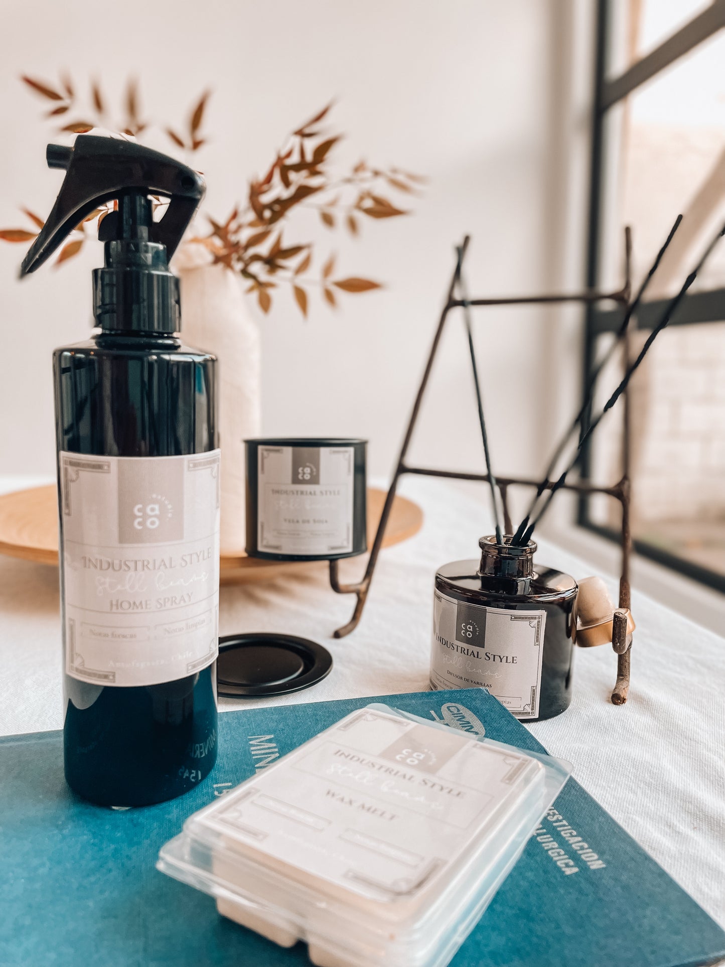 INSDUSTRIAL STYLE HOME SPRAY
