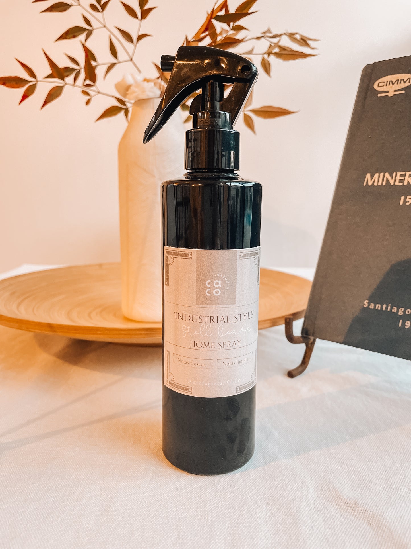 INSDUSTRIAL STYLE HOME SPRAY