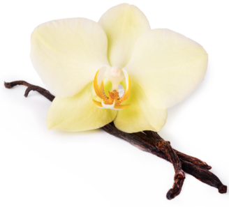 FRAGANCIA VAINILLA 100 ml