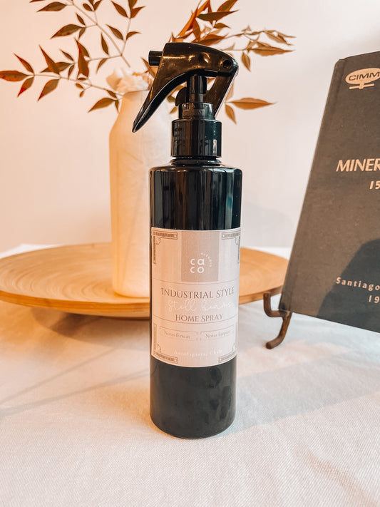 INSDUSTRIAL STYLE HOME SPRAY